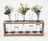 Flower Vaze oblikovane kot Lab Beakers