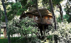 Gadget Tree dům v Řecku