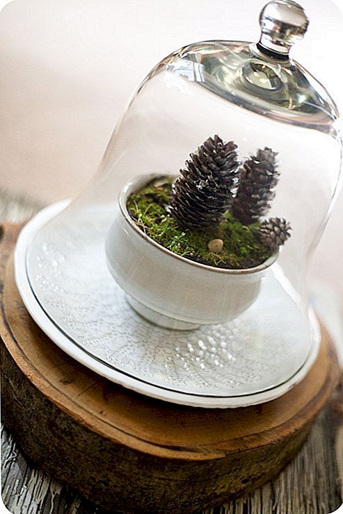 Dekoratyvinės žiemos terariumai, kuriuose galite naudoti kasdienius objektus