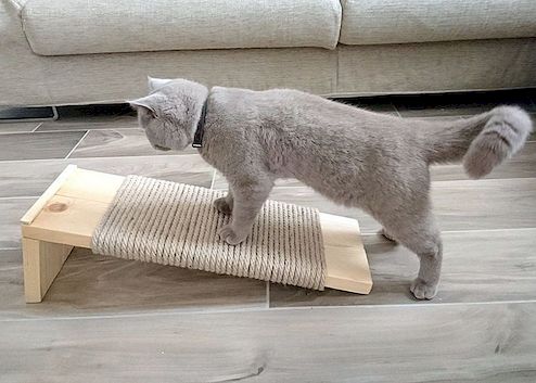 DIY elegantní a moderní kočka škrabák