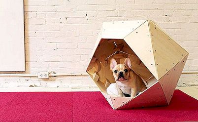 DIY Dog House Plannen en ideeën Je beste vriend zal absoluut verliefd zijn