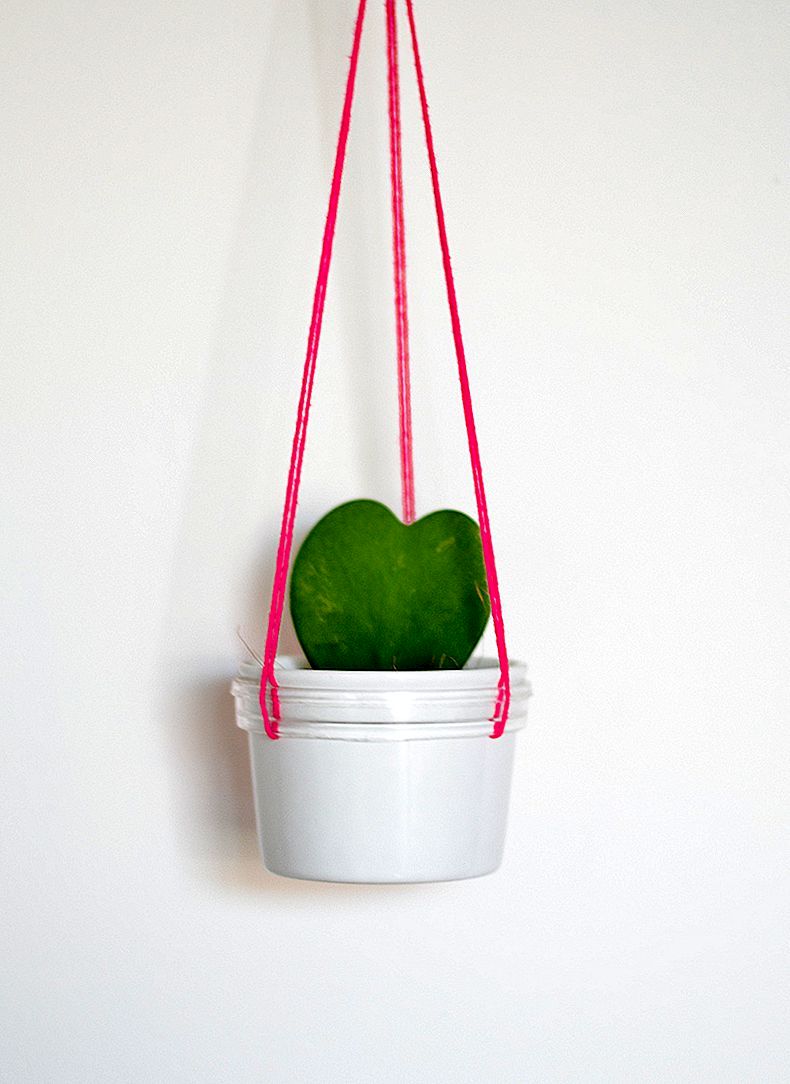 DIY moderne hangende plantenbak