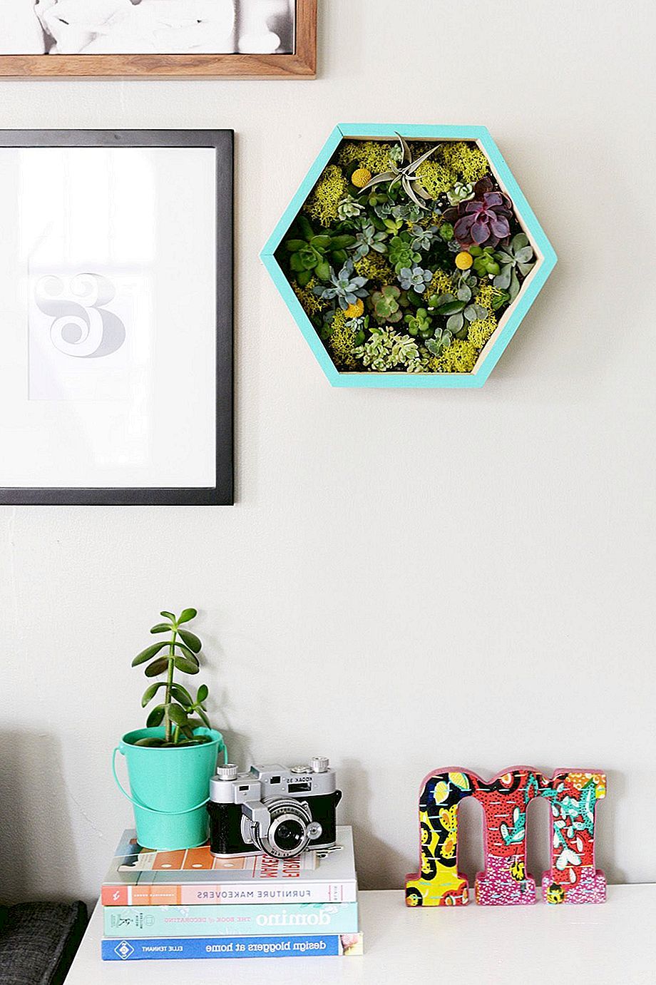 DIY succulente muur plantenbak