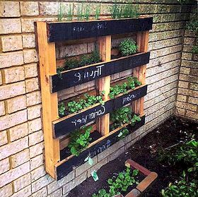 Kako napraviti lijepi mali vrt s recikliranim stavkama
