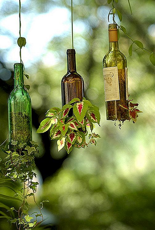Innovativa vinflaskhängande planteringsare