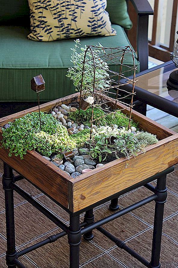 Härlig DIY Tabletop Mini Garden