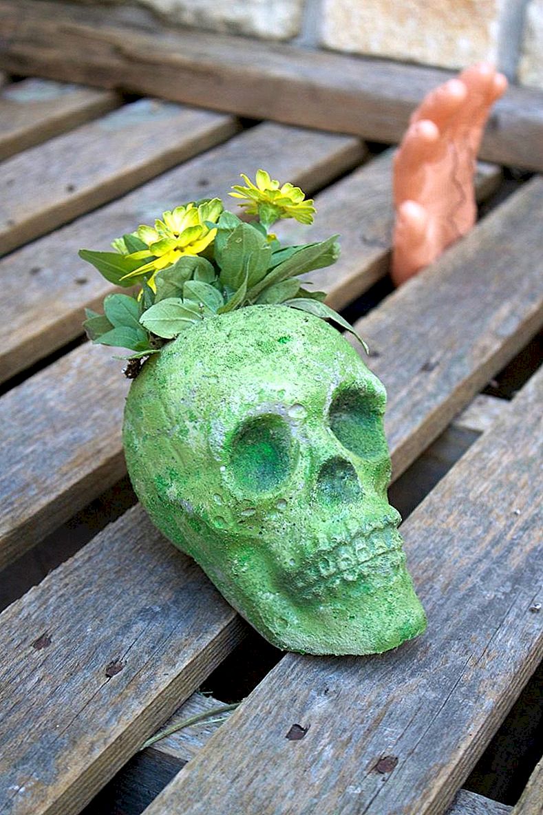 Gör en Cement Skull Planter
