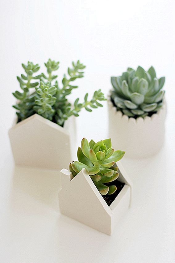 Maak je eigen kleine klei potten voor verse succulenten