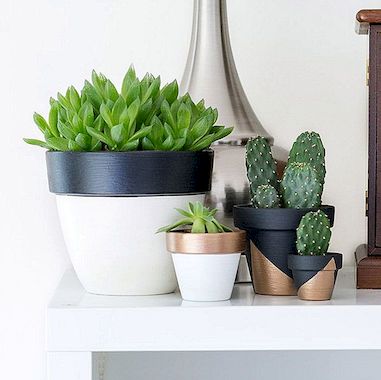 Moderne mini-geverfde plantenpotten