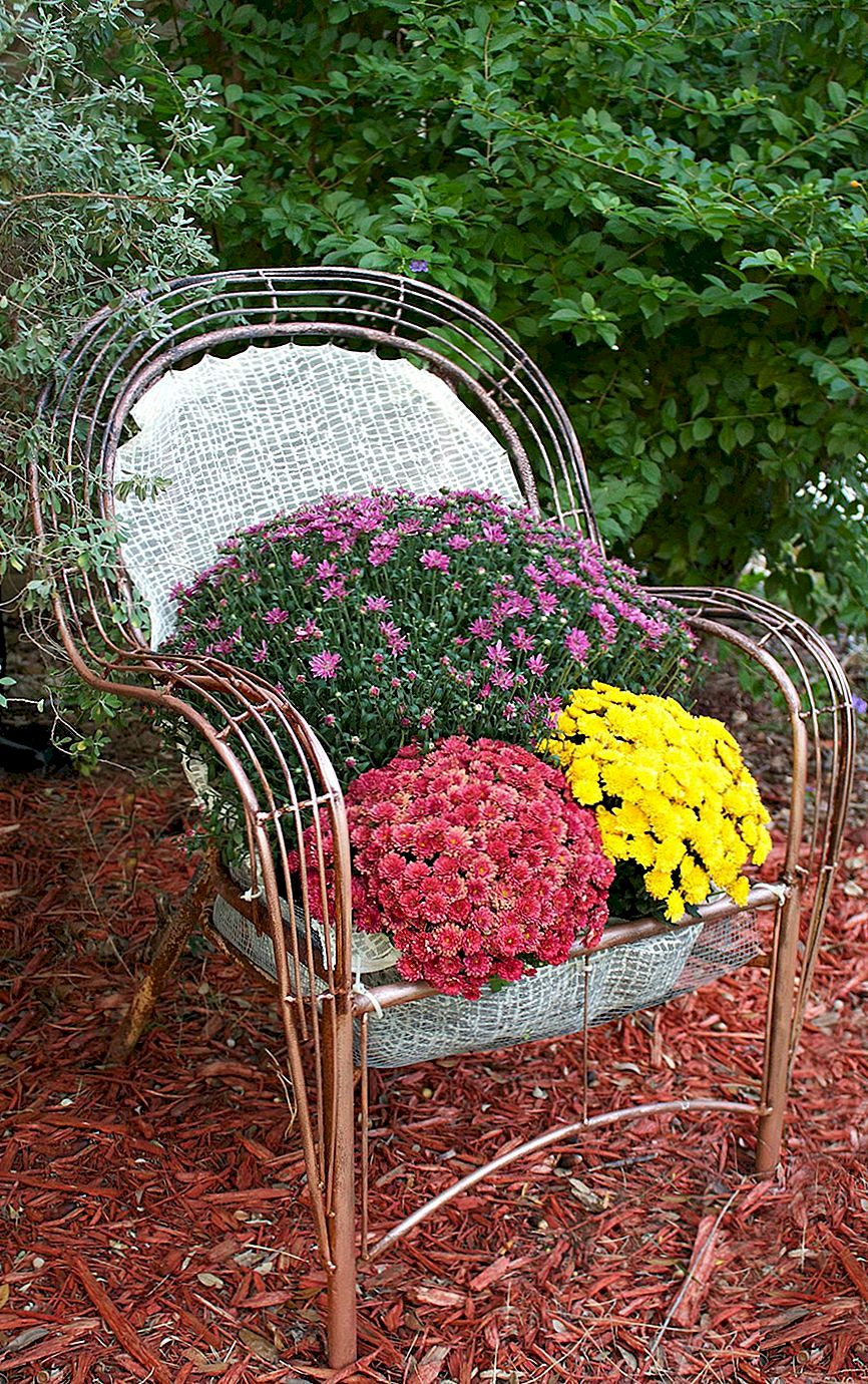 Verander een stoel in een tuinbed
