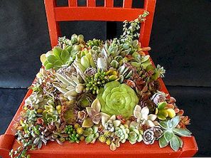 Otočte staré židle do krásných květinových záhonů a kadeřníků