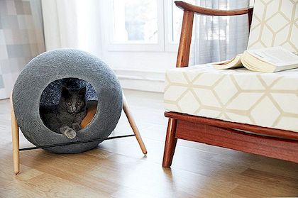 时尚猫床和茧为挑剔的宠物