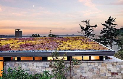 Här är varför du vill ha ett levande grönt tak på ditt hem