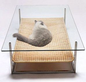 Als je een kat hebt, moet je ook deze tafel bezitten!