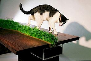 Mačja miza z vgrajenim travo
