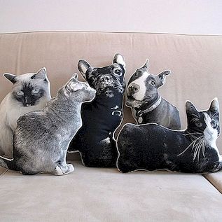 Aangepaste kussens klonen je favoriete huisdieren door Shannon Broder