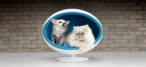 Midcentury Modern Pet Furniture: Padpod van Bark & ​​Miao