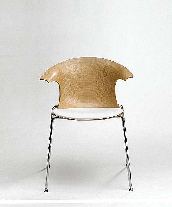 เก้าอี้ที่พิถีพิถันด้วยรูปลักษณ์อ่อนเยาว์: ห่วงไม้ 3D