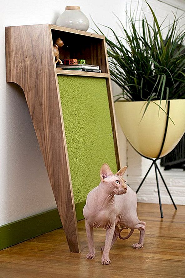 29 Roztomilé a pohodlné návrhy nábytku pro moderní domácí zvířata