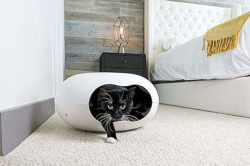 Moderna möbler för katter och hundar med stil och panache