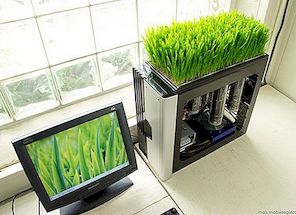 DIY bio-dator med mini trädgård ovanpå sitt fall