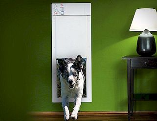 Η ηλεκτρική κατοικία ηλεκτρονικών κατοικιδίων πόρτα, ένα mart αξεσουάρ για ένα έξυπνο κατοικίδιο ζώο
