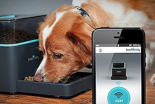 Topp Beste 11 Gadgets For Home Controlled By Smartphone