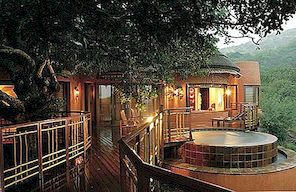 Het luxe Zuid-Afrikaanse Thanda Private Game Reserve
