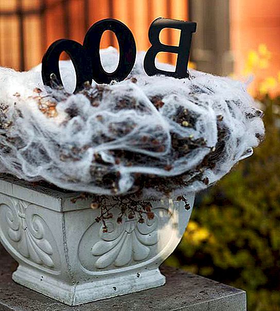 8 sätt att använda webben för Halloween!