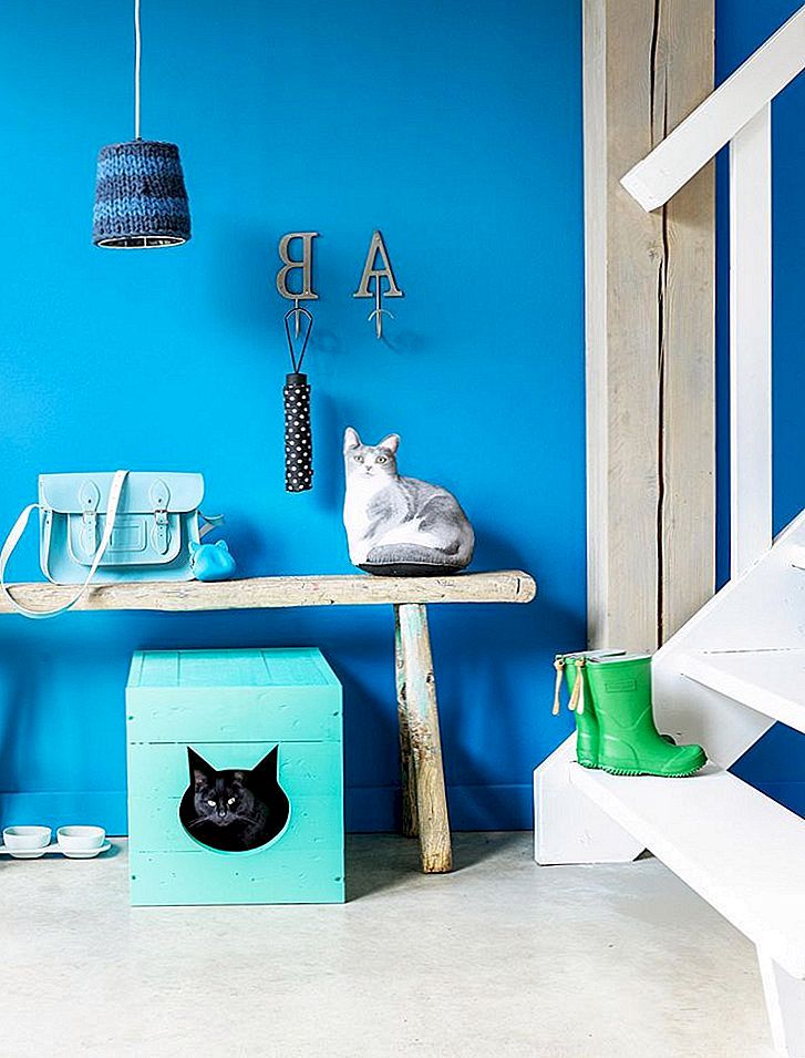 Top 10 genialnih načinov za skrivanje škatle vašega mačka