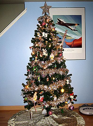 Kde umístit vánoční stromek doma?