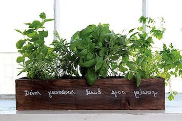 Jak se vaše vlastní vlastní zahradní bylinná zahrada - tipy a nápady