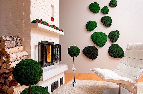 Indoor Moss is een fussvrije manier om een ​​natuurlijk element aan het interieur toe te voegen