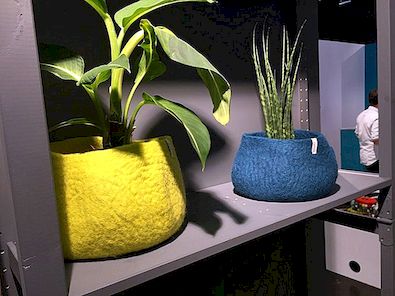 Moderne plantenbakken met een frisse uitstraling op het decor