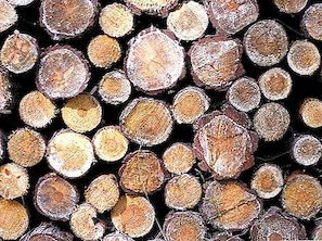 Στερεά ξύλινη βιωσιμότητα