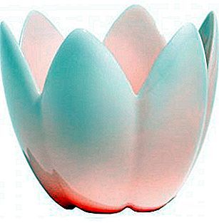 Lotus Bowl van Alessi