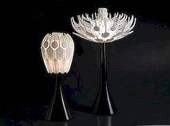 Bloom Lamp: een lamp die tot bloei komt in een bloem voor verlichting