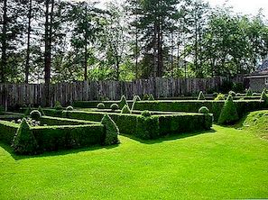 15 úžasných nápadů Topiary umění pro vaši zahradu