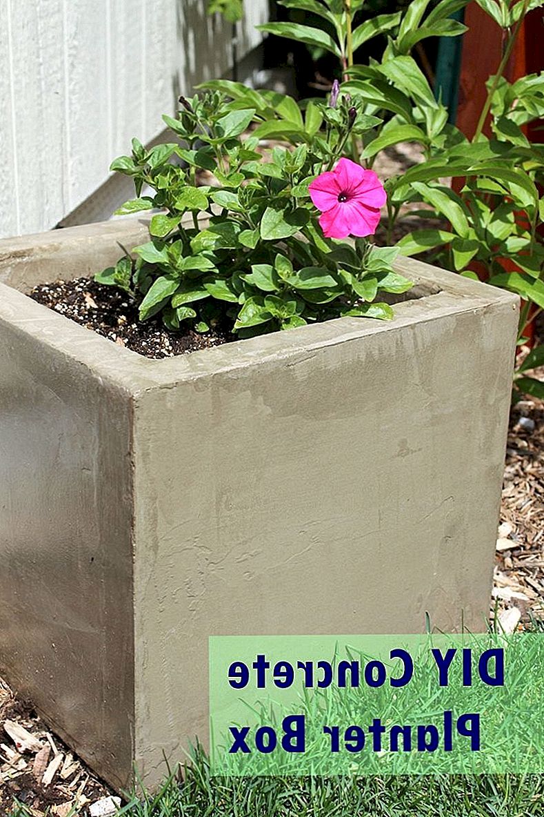 DIY moderne minimale betonnen bloembakken