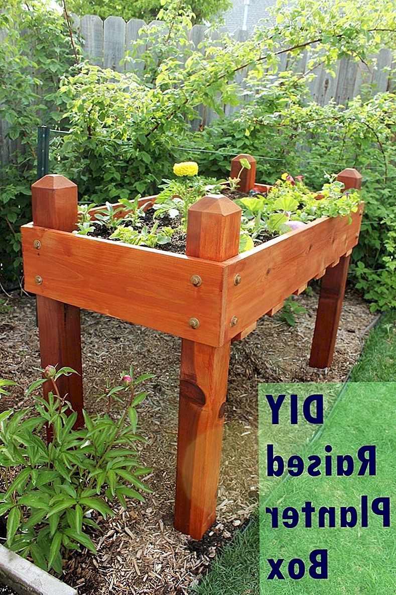 DIY Raised Planter Box - En steg-för-steg-byggguide