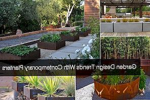 Trädgårdsdesigntrender med moderna planter