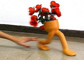 Runaway flowerpot