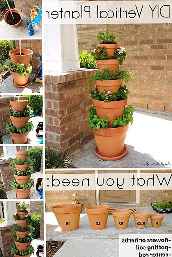 Spara utrymme i ditt hem eller trädgård genom att skapa vertikala växter