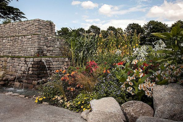 Některé inspirativní nápady, které můžete použít při navrhování skalní zahrady