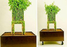 Razvijajte prirodnu drvenu stolicu
